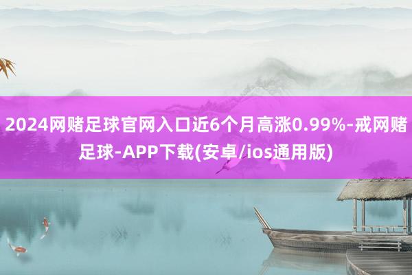 2024网赌足球官网入口近6个月高涨0.99%-戒网赌足球-APP下载(安卓/ios通用版)