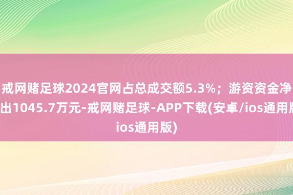 戒网赌足球2024官网占总成交额5.3%；游资资金净流出1045.7万元-戒网赌足球-APP下载(安卓/ios通用版)