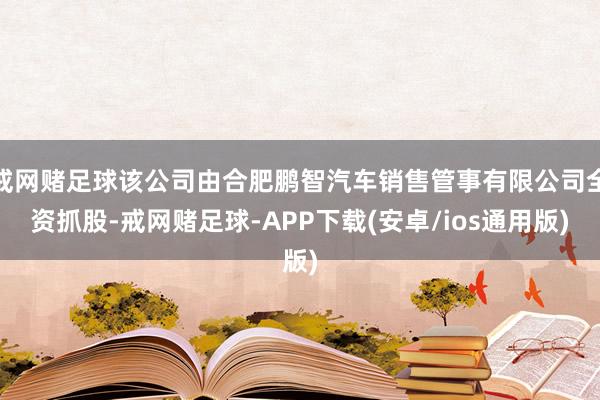 戒网赌足球该公司由合肥鹏智汽车销售管事有限公司全资抓股-戒网赌足球-APP下载(安卓/ios通用版)